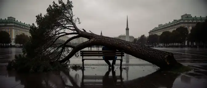 Смертельный удар стихии в московском сквере: упавшее дерево стало причиной гибели мужчины